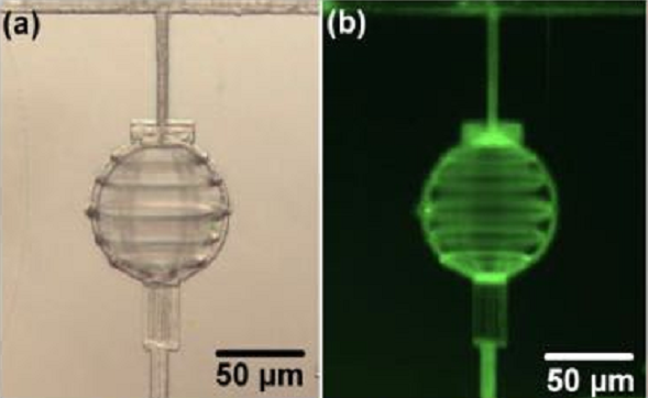 飛秒激光器在微流控芯片加工領(lǐng)域的應(yīng)用