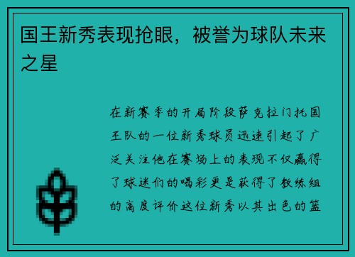 国王新秀表现抢眼，被誉为球队未来之星